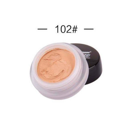 Freckles Dark Circles Acne Scars Concealer